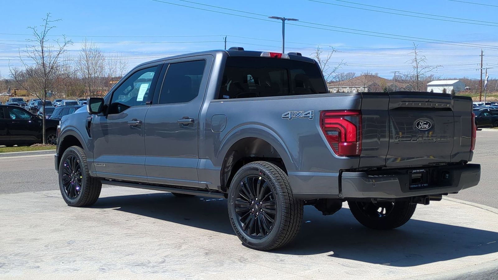 2025 Ford F-150 Platinum photo 3