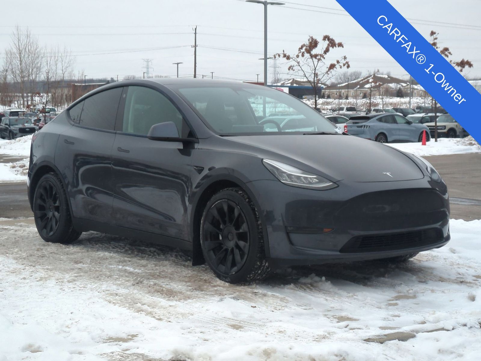Thumbnail: 2021 Tesla Model Y - 9