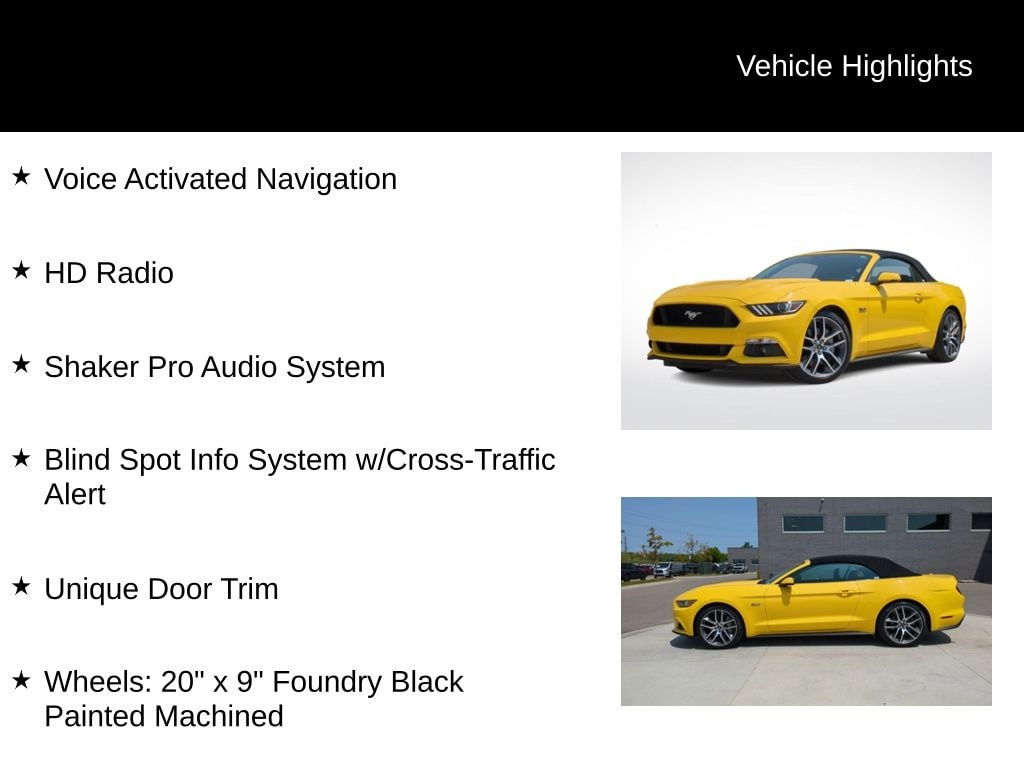2015 Ford Mustang GT Premium 21