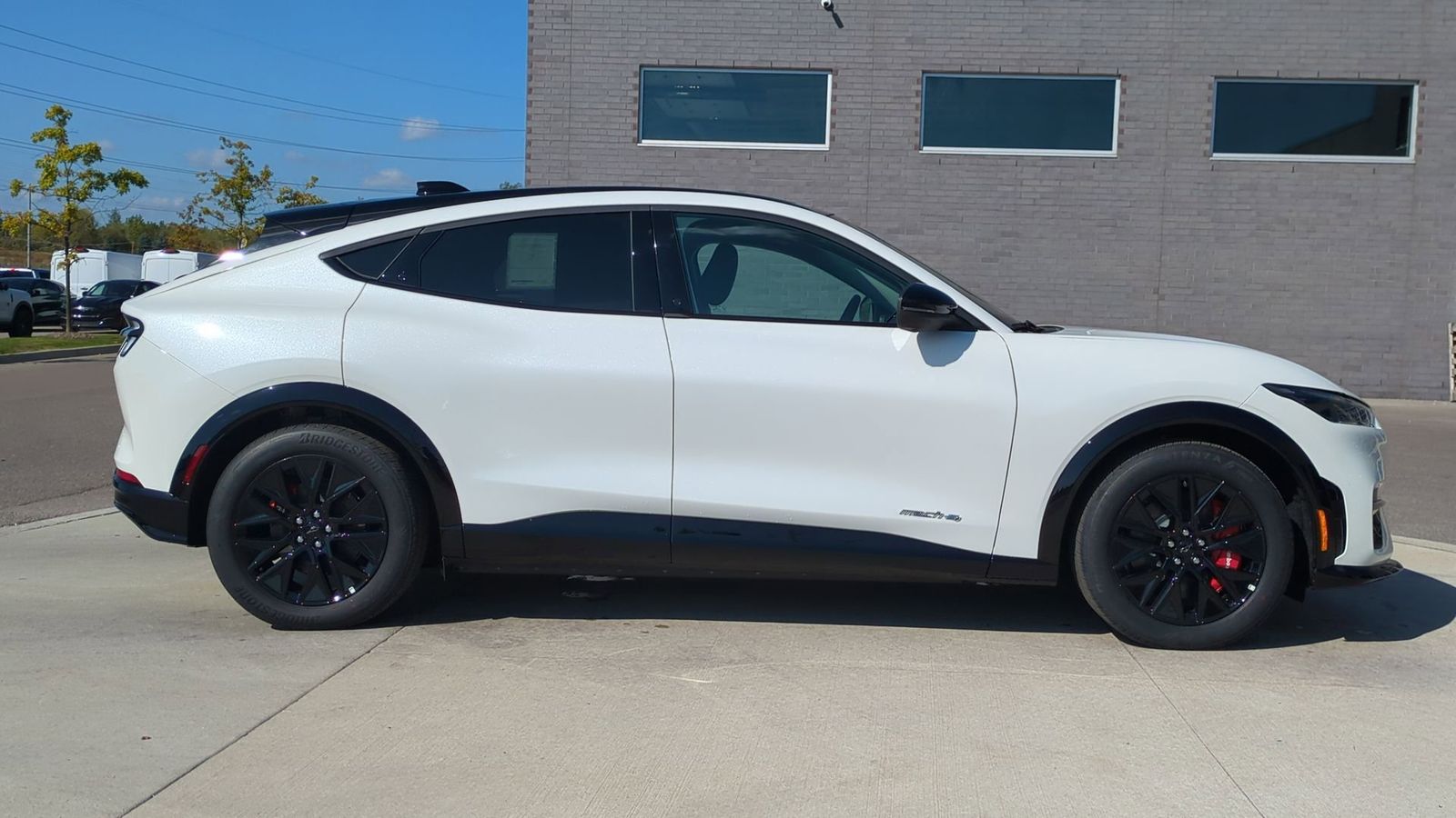 Thumbnail: 2025 Ford Mustang Mach-E - 8