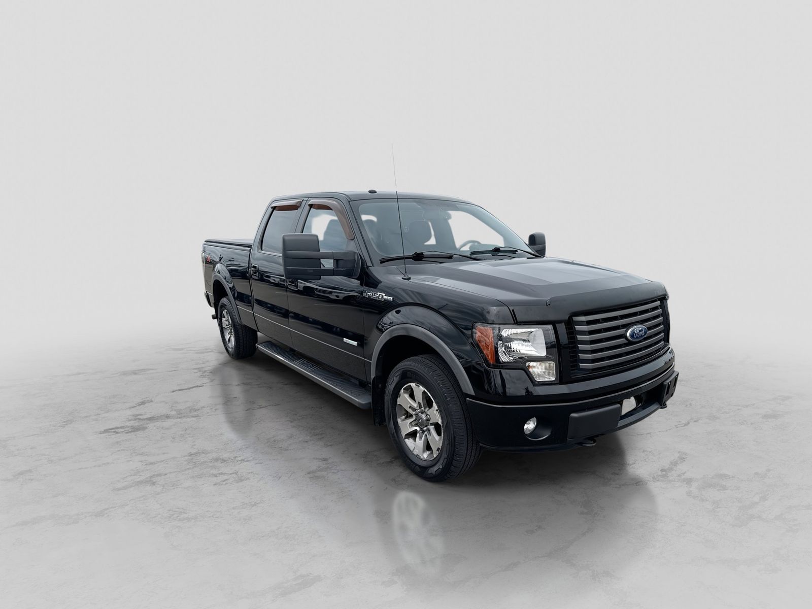 Thumbnail: 2011 Ford F-150 - 10