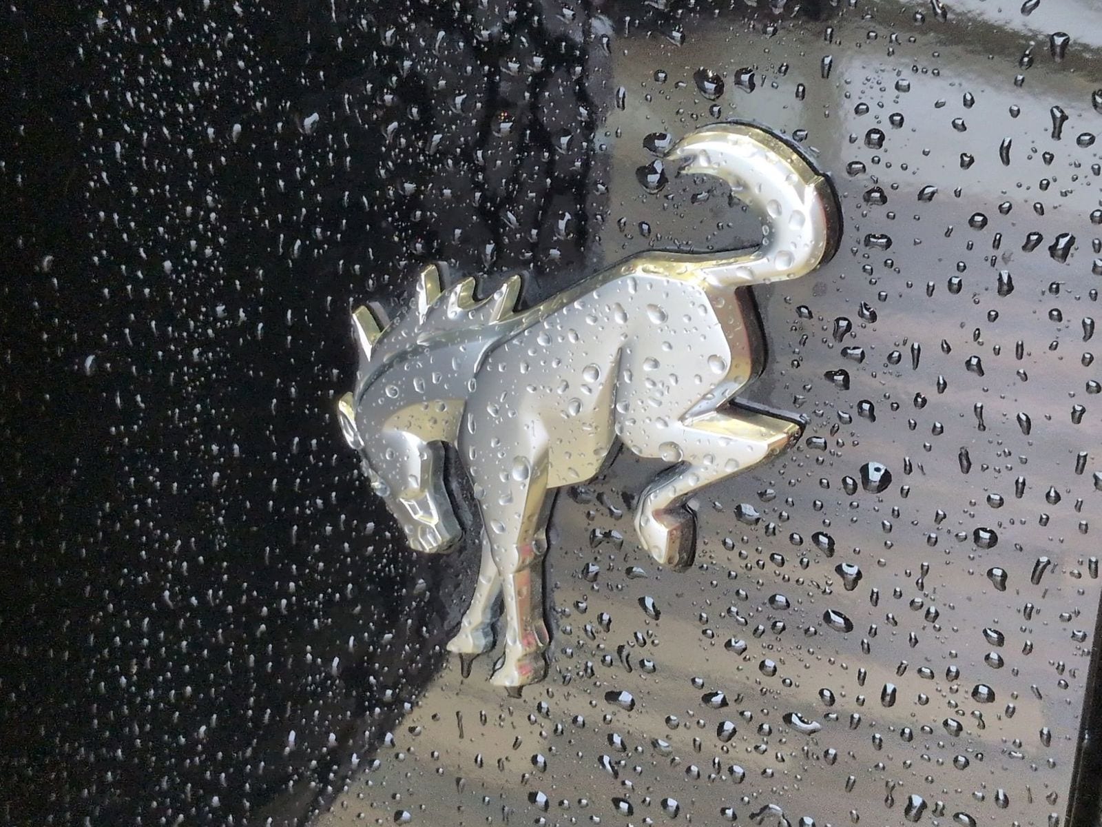 Thumbnail: 2025 Ford Bronco - 15