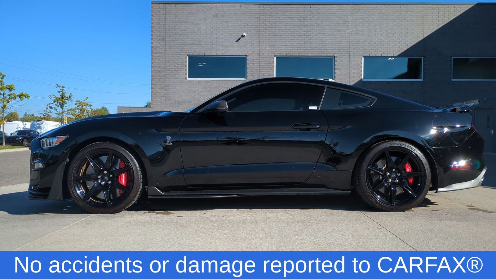 2021 Ford Mustang Shelby GT500 photo 3