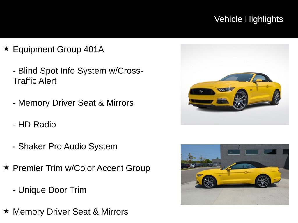 2015 Ford Mustang GT Premium 6