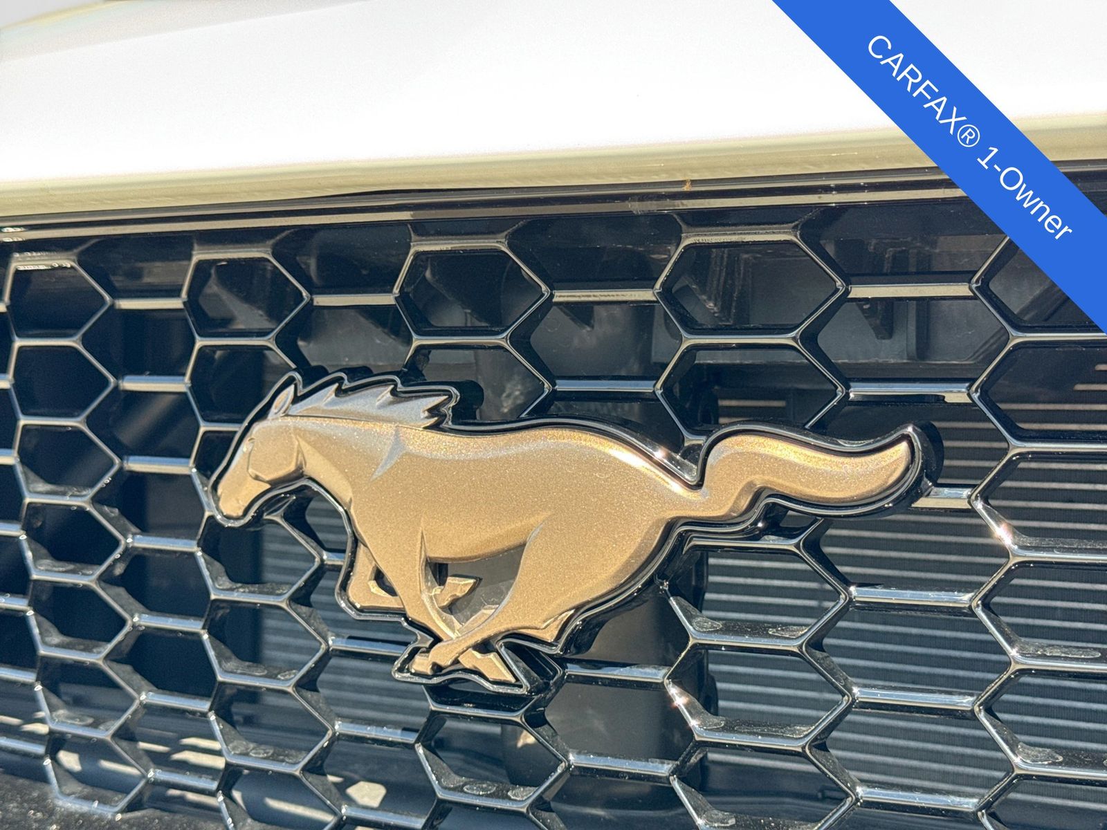 Thumbnail: 2024 Ford Mustang - 14