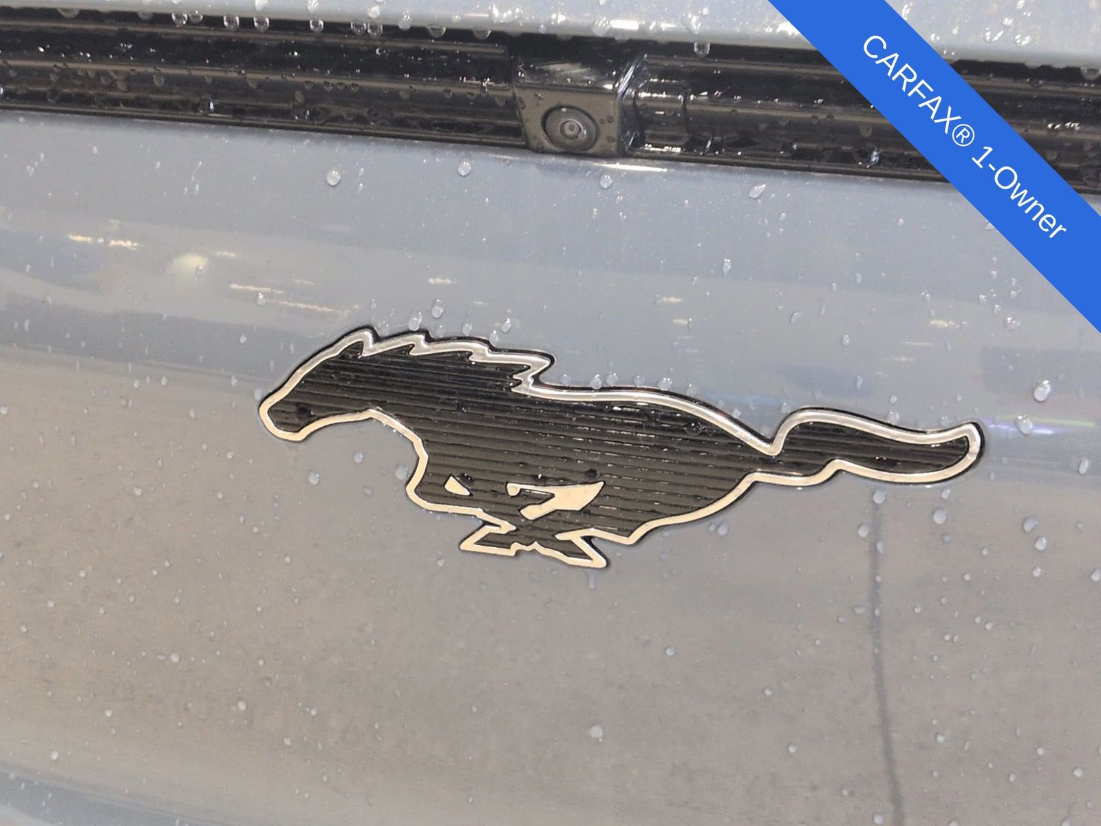 Thumbnail: 2024 Ford Mustang Mach-E - 14