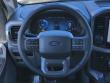 2025 Ford F-150 Lightning XLT TRUCK