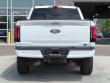 2025 Ford F-150 Lightning Flash TRUCK