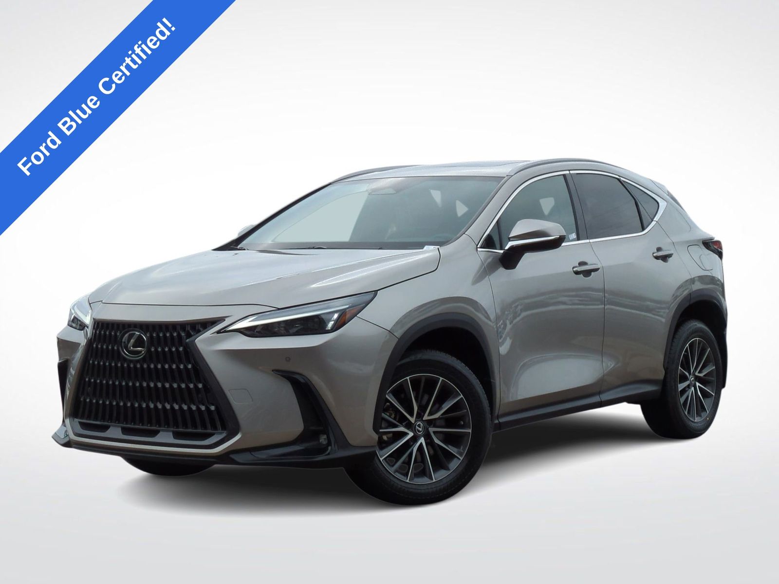 2023 Lexus NX 350's photo