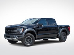 2022 Ford F-150 Raptor Truck in Waterford, MI