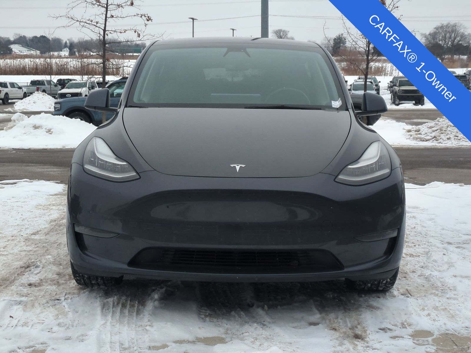 Thumbnail: 2021 Tesla Model Y - 10