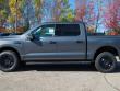 2025 Ford F-150 Lightning XLT TRUCK