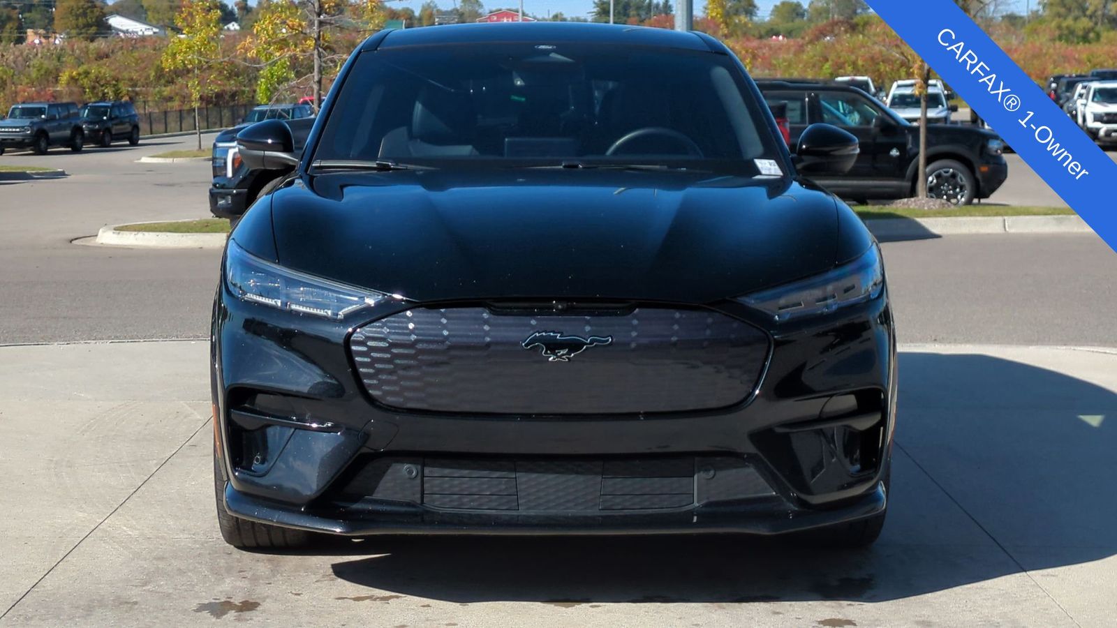 Thumbnail: 2022 Ford Mustang Mach-E - 10