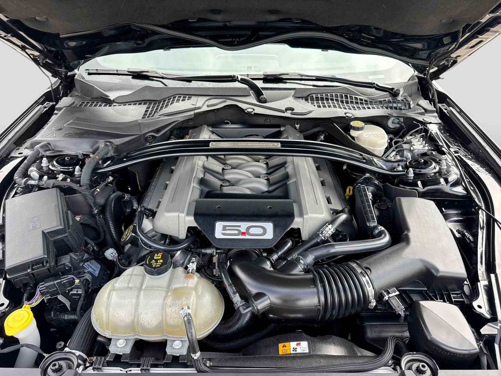 Thumbnail: 2016 Ford Mustang - 13