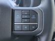 2025 Ford F-150 Lightning XLT TRUCK