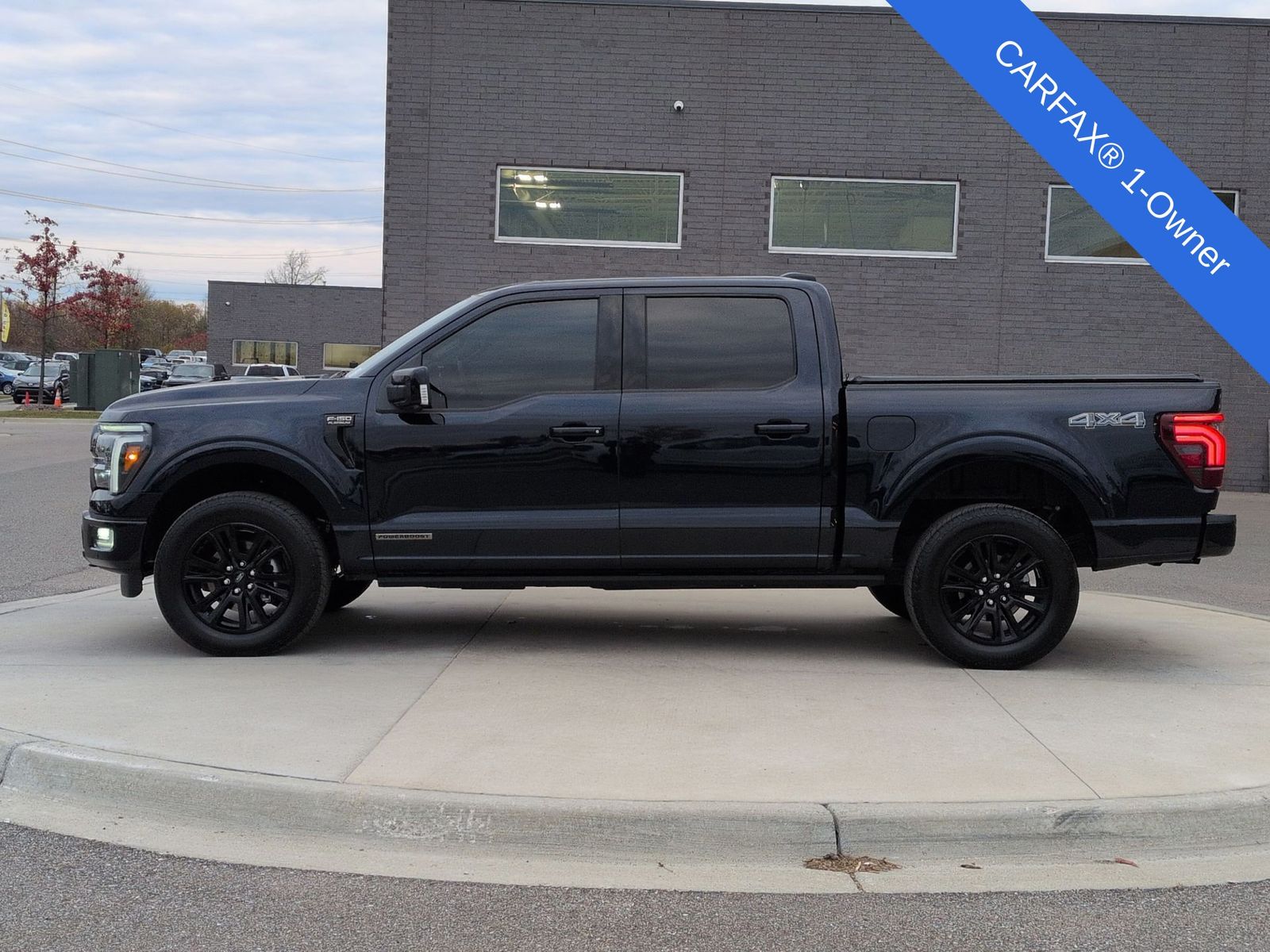 2025 Ford F-150 Platinum photo 3