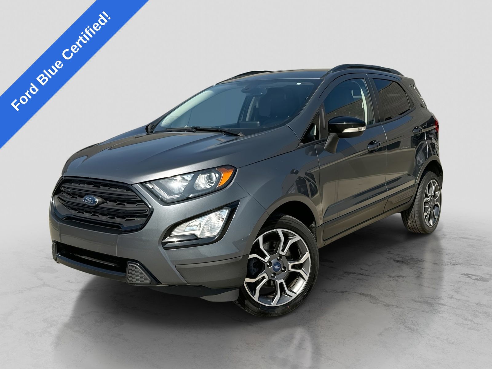 2020 Ford EcoSport SES -
                  Washington, MI