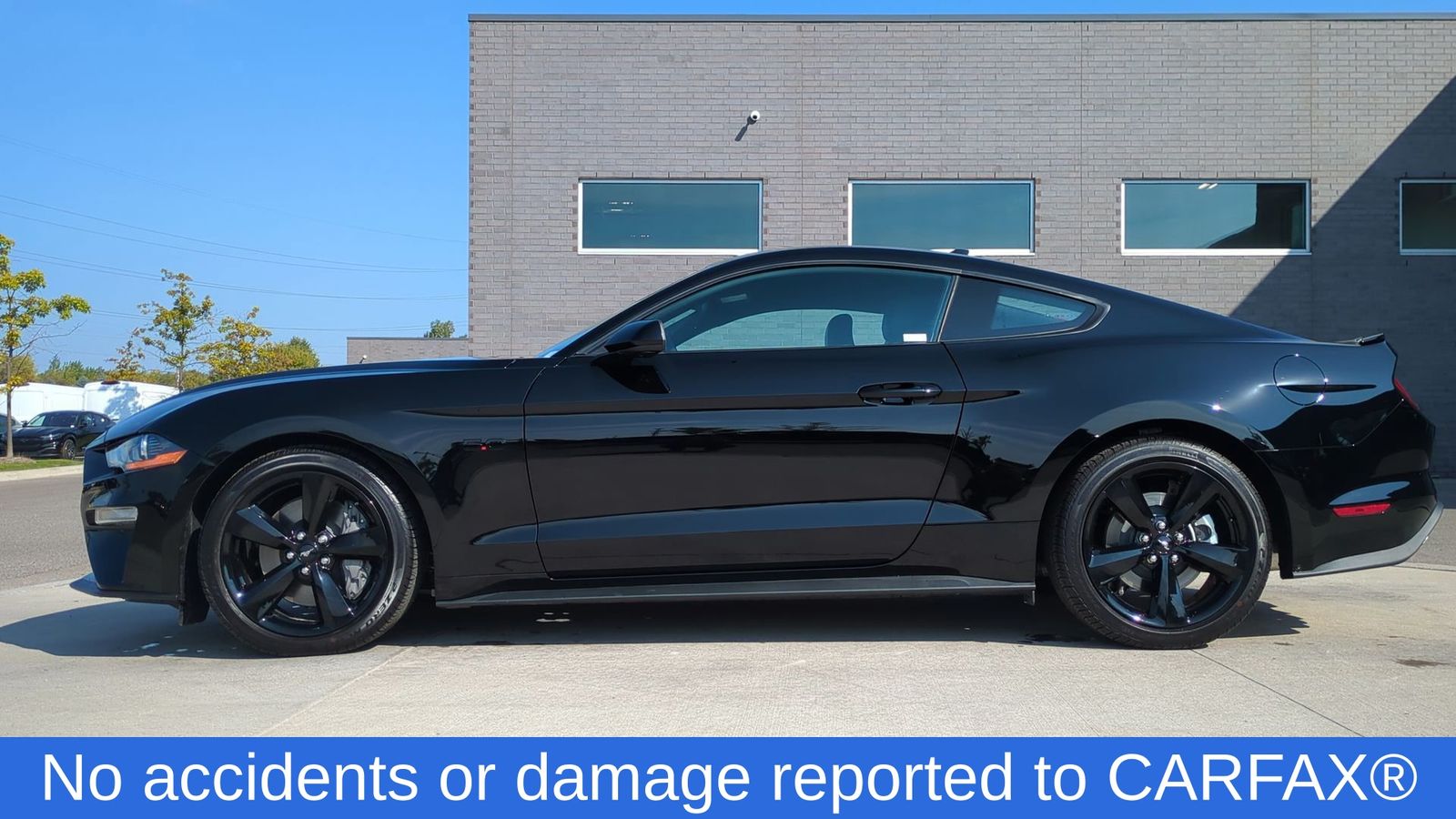 2021 Ford Mustang GT Premium photo 3