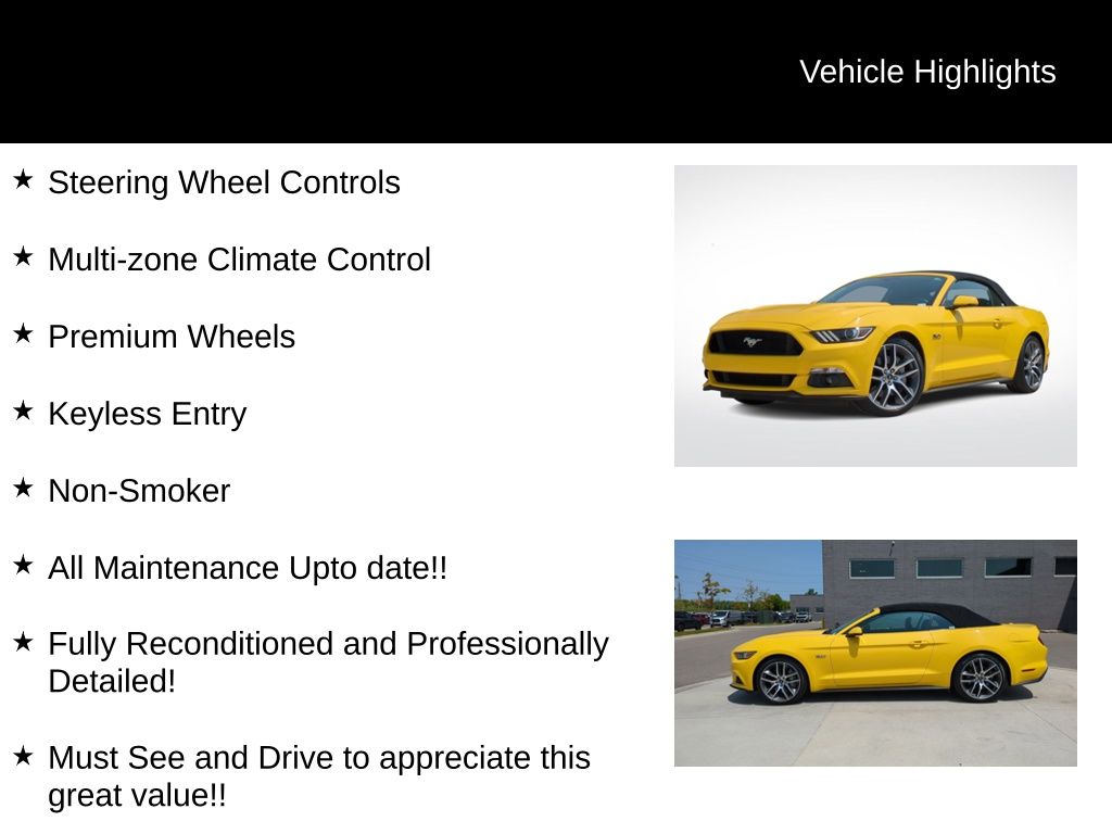 2015 Ford Mustang GT Premium 16