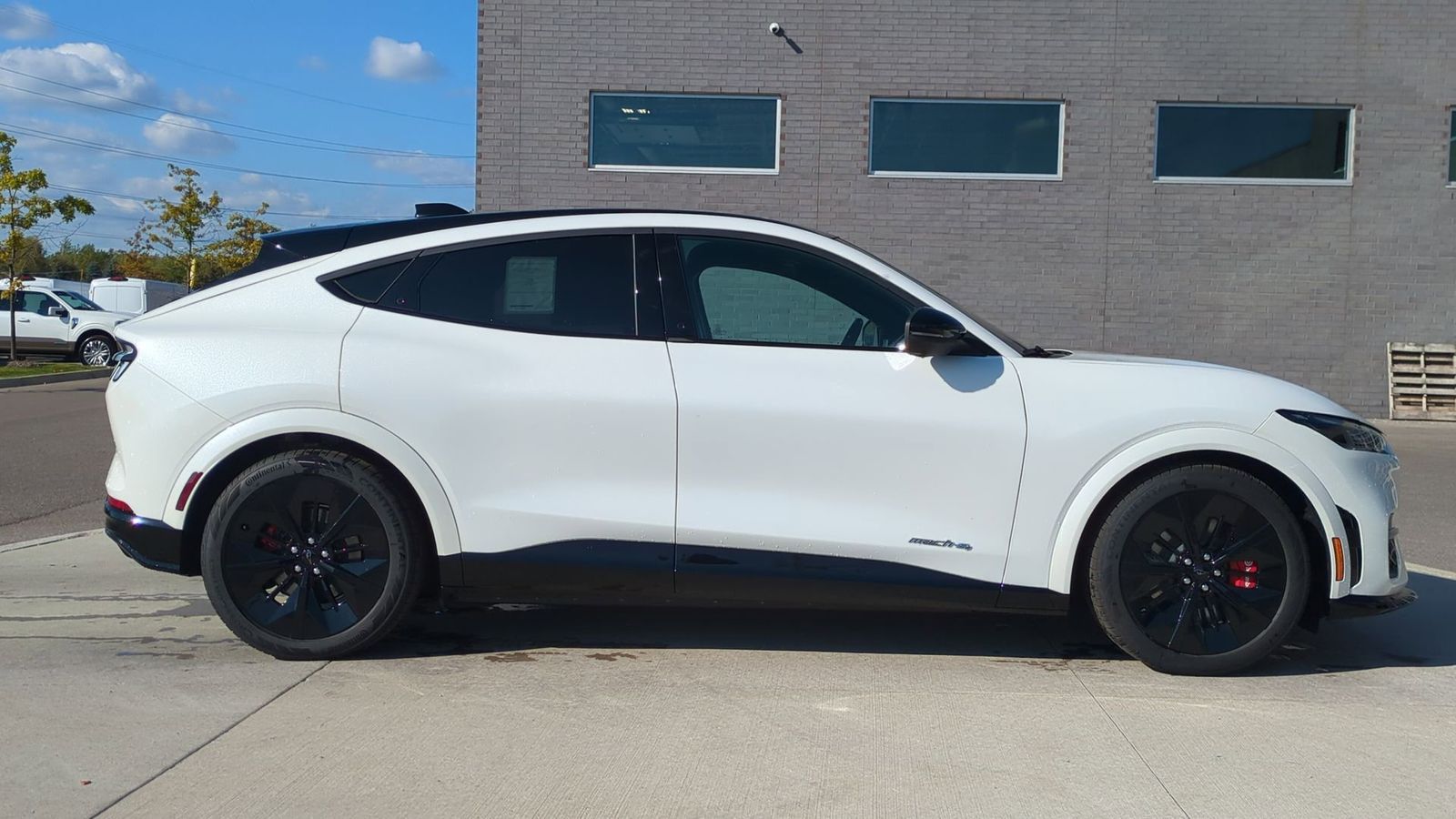 Thumbnail: 2025 Ford Mustang Mach-E - 8