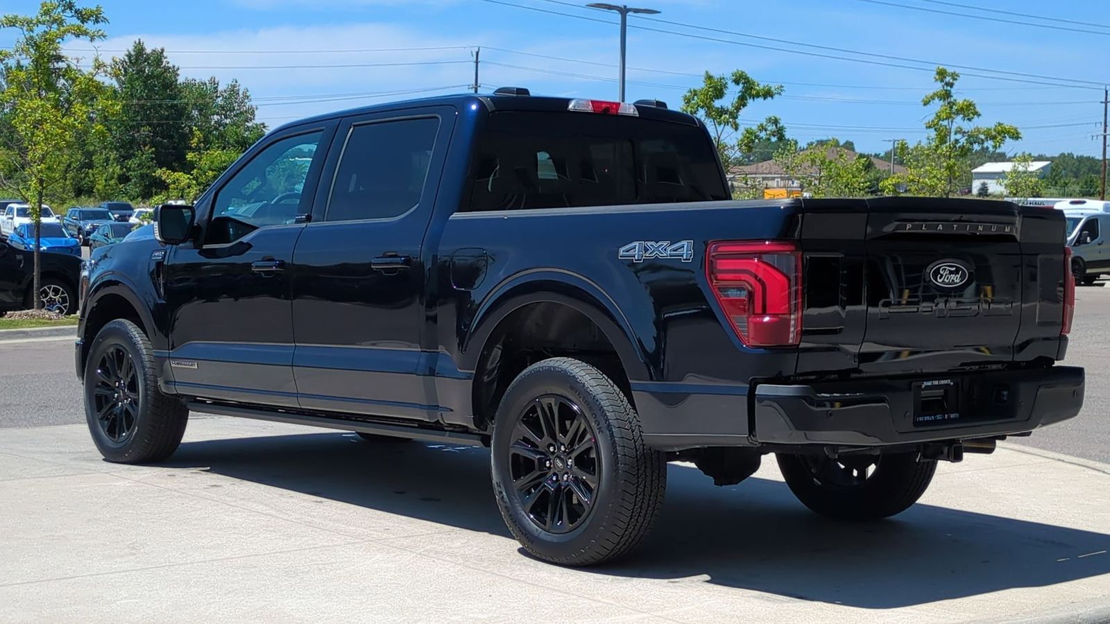 2025 Ford F-150 Platinum photo 3
