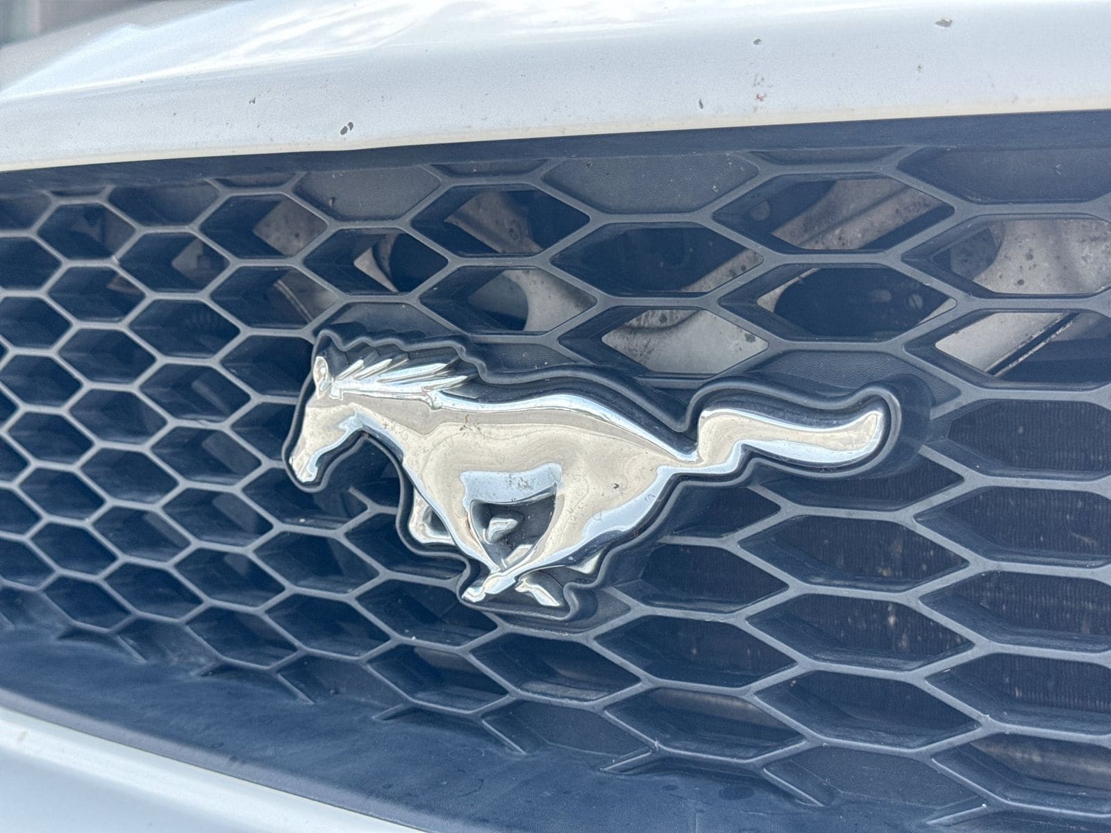 Thumbnail: 2008 Ford Mustang - 12