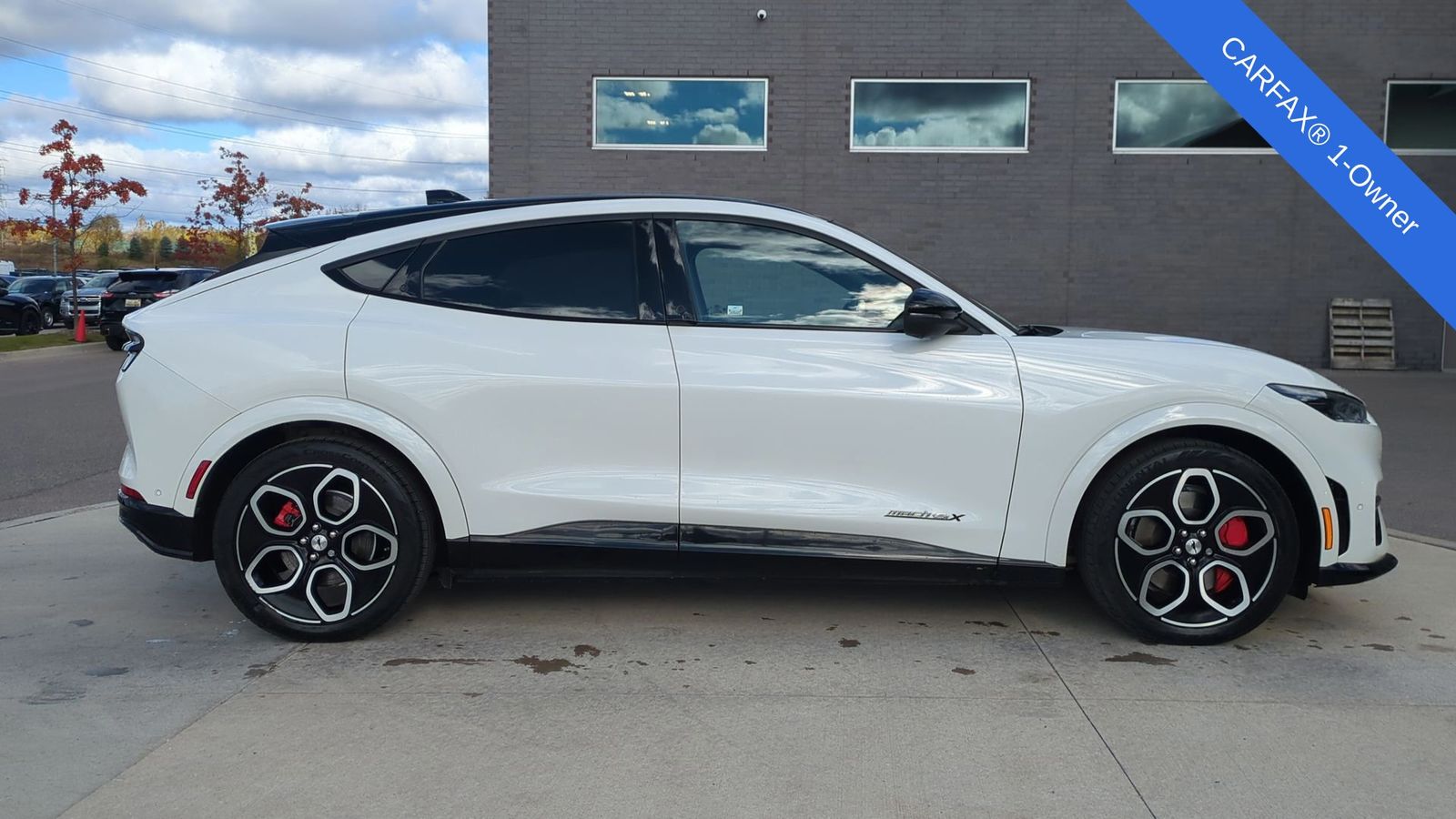 Thumbnail: 2021 Ford Mustang Mach-E - 9