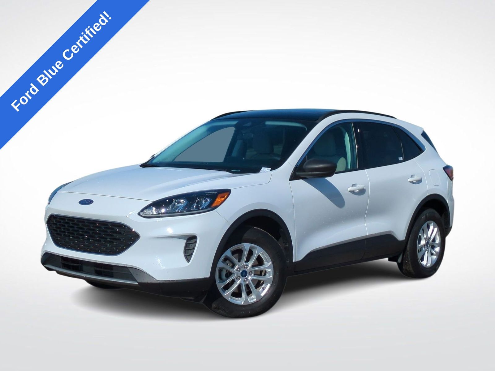 2022 Ford Escape SE -
                  Washington, MI