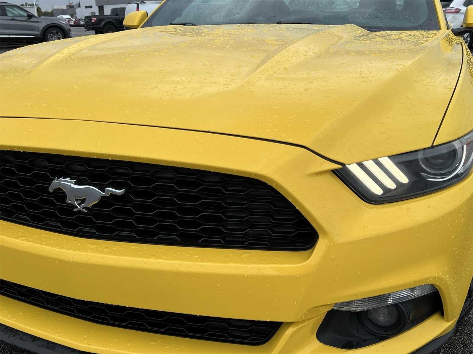 Thumbnail: 2016 Ford Mustang - 11