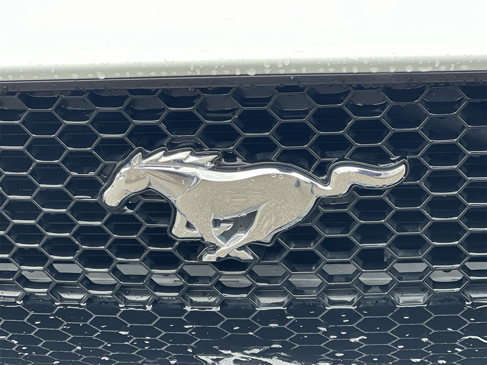 Thumbnail: 2018 Ford Mustang - 13