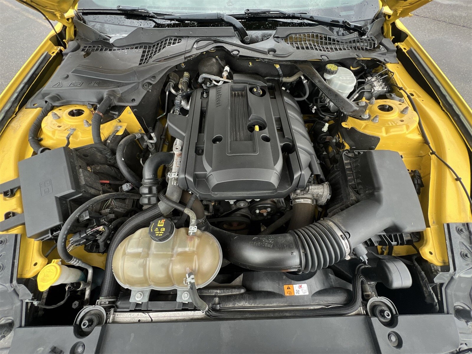 Thumbnail: 2016 Ford Mustang - 15