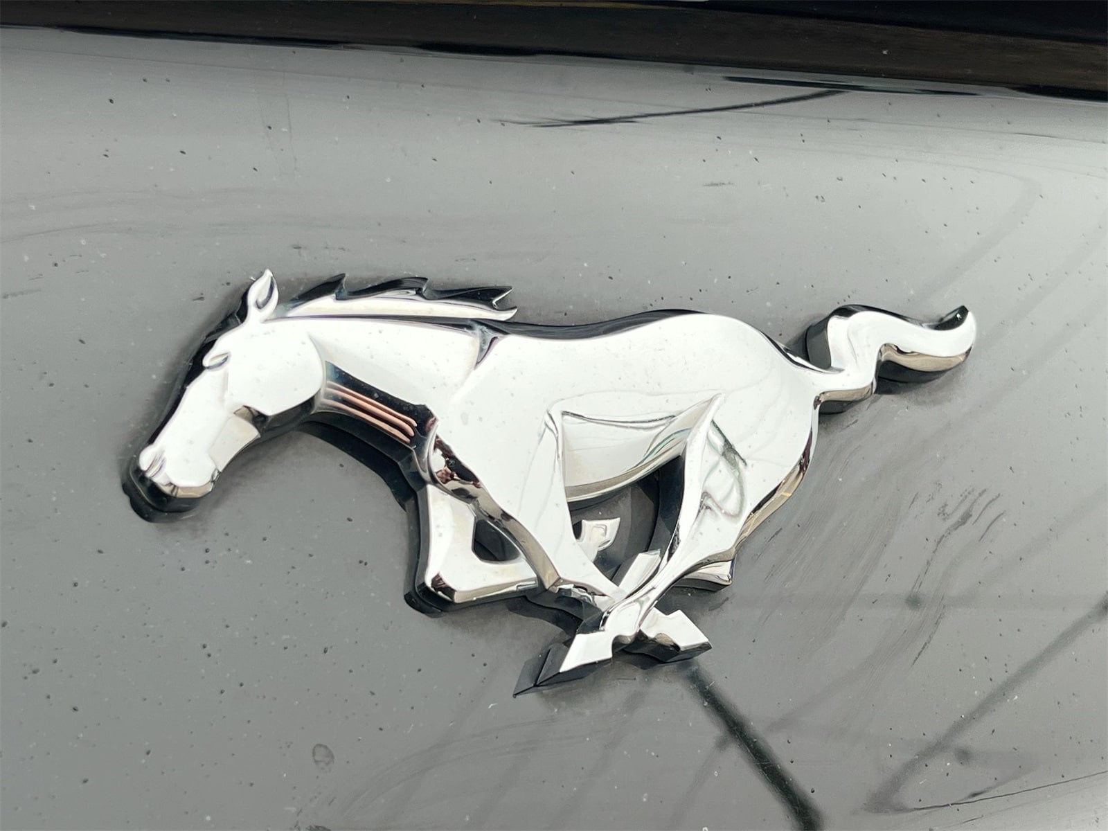 Thumbnail: 2017 Ford Mustang - 12