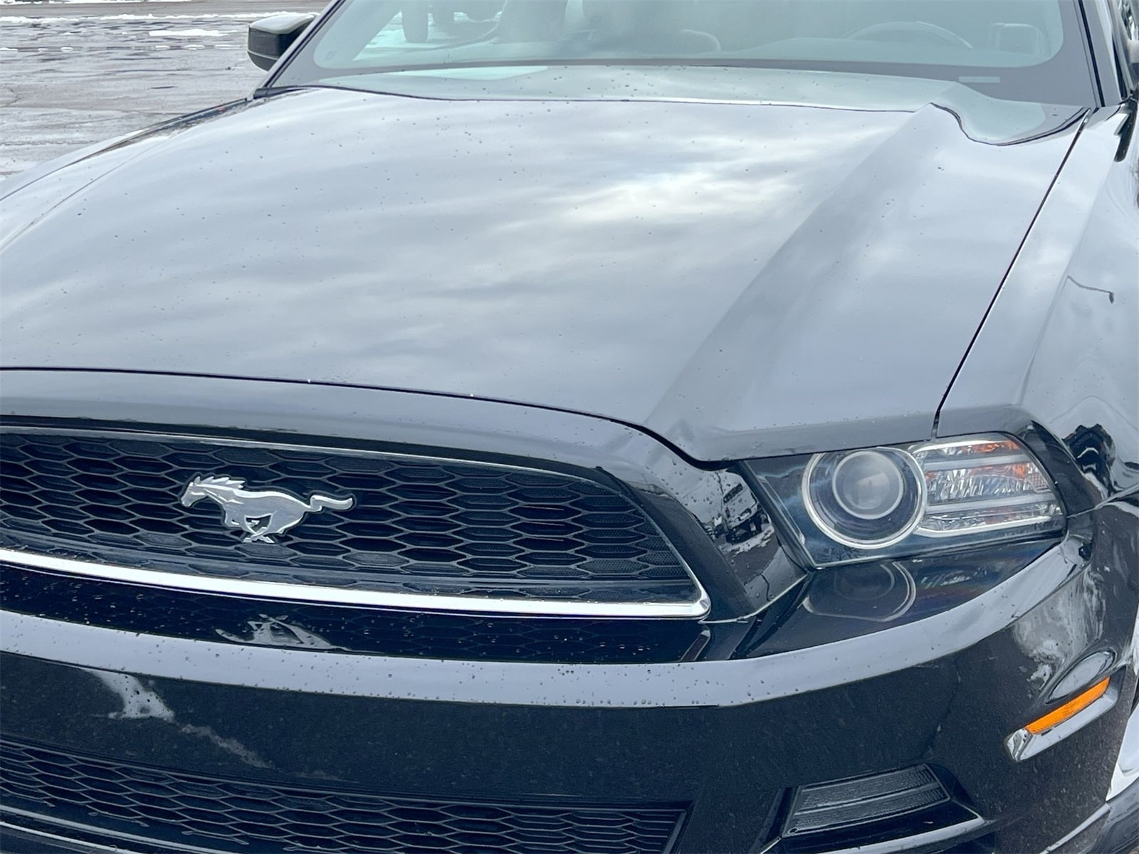 Thumbnail: 2014 Ford Mustang - 11