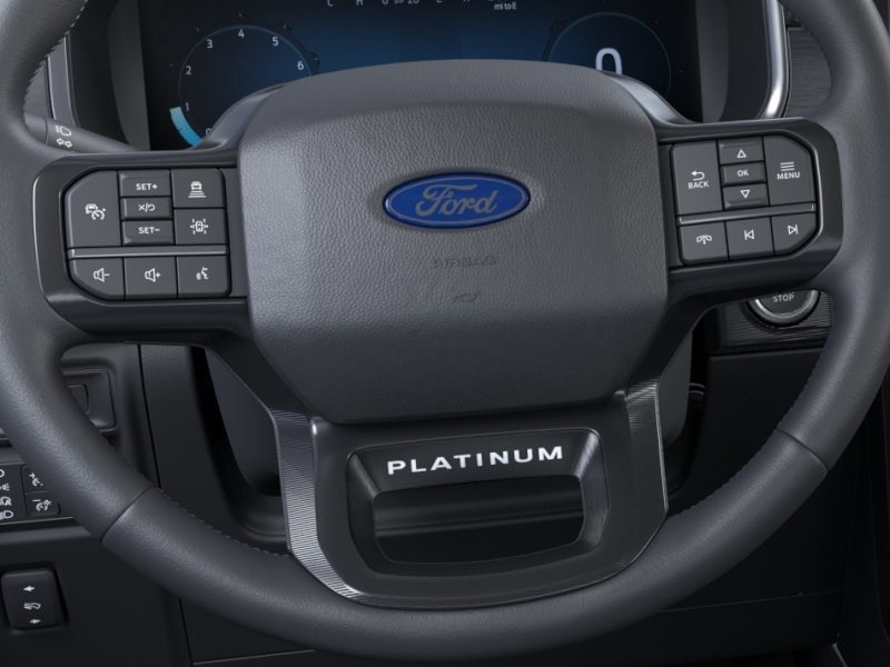 2024 Ford F-150 Platinum 12