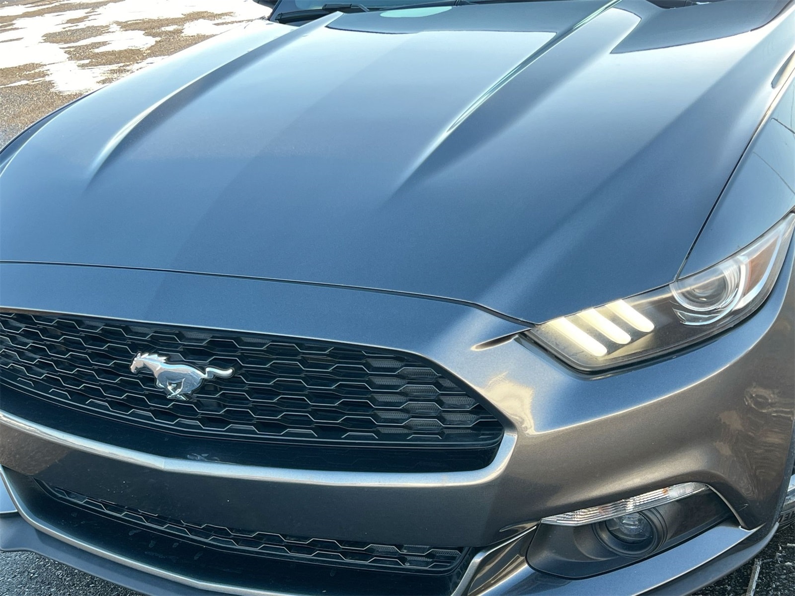 Thumbnail: 2017 Ford Mustang - 11