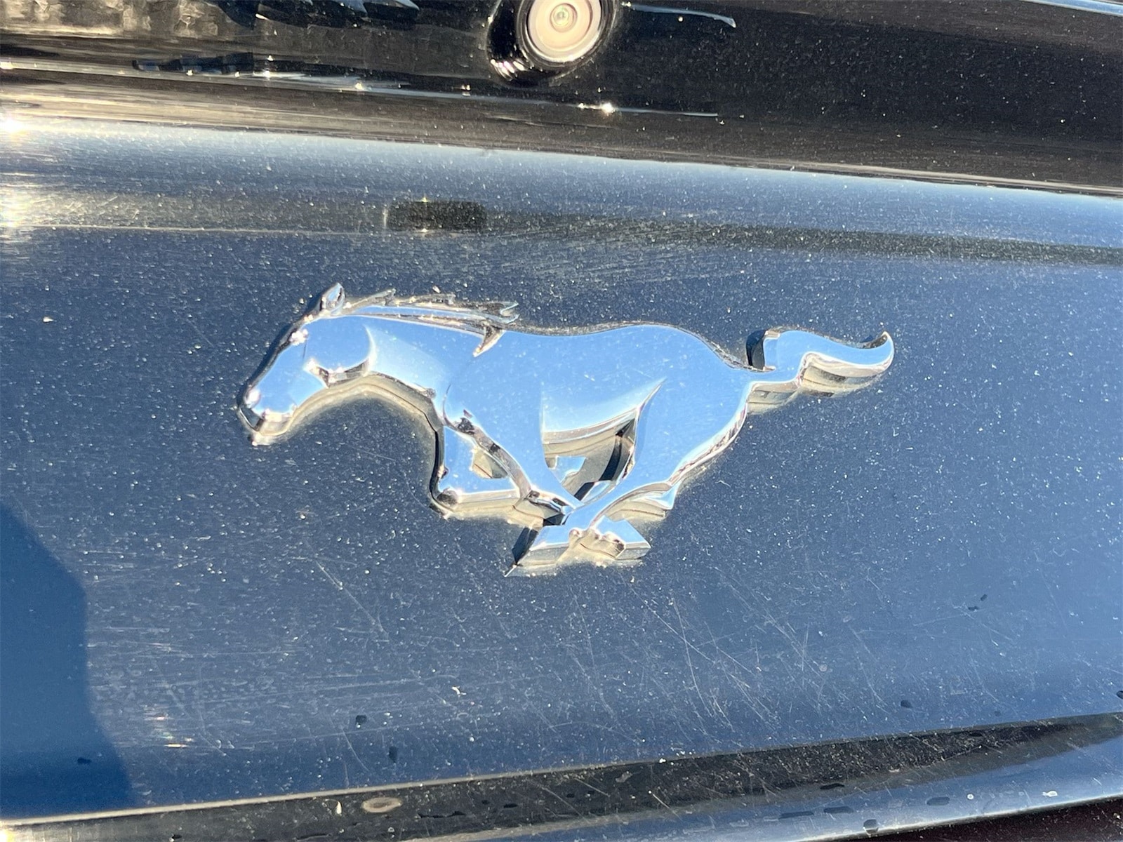 Thumbnail: 2017 Ford Mustang - 13