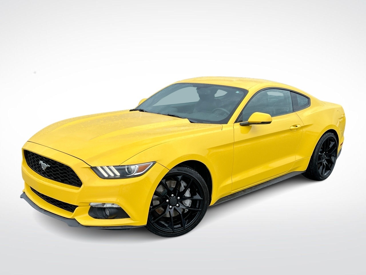 2016 Ford Mustang  -
                  Troy, MI