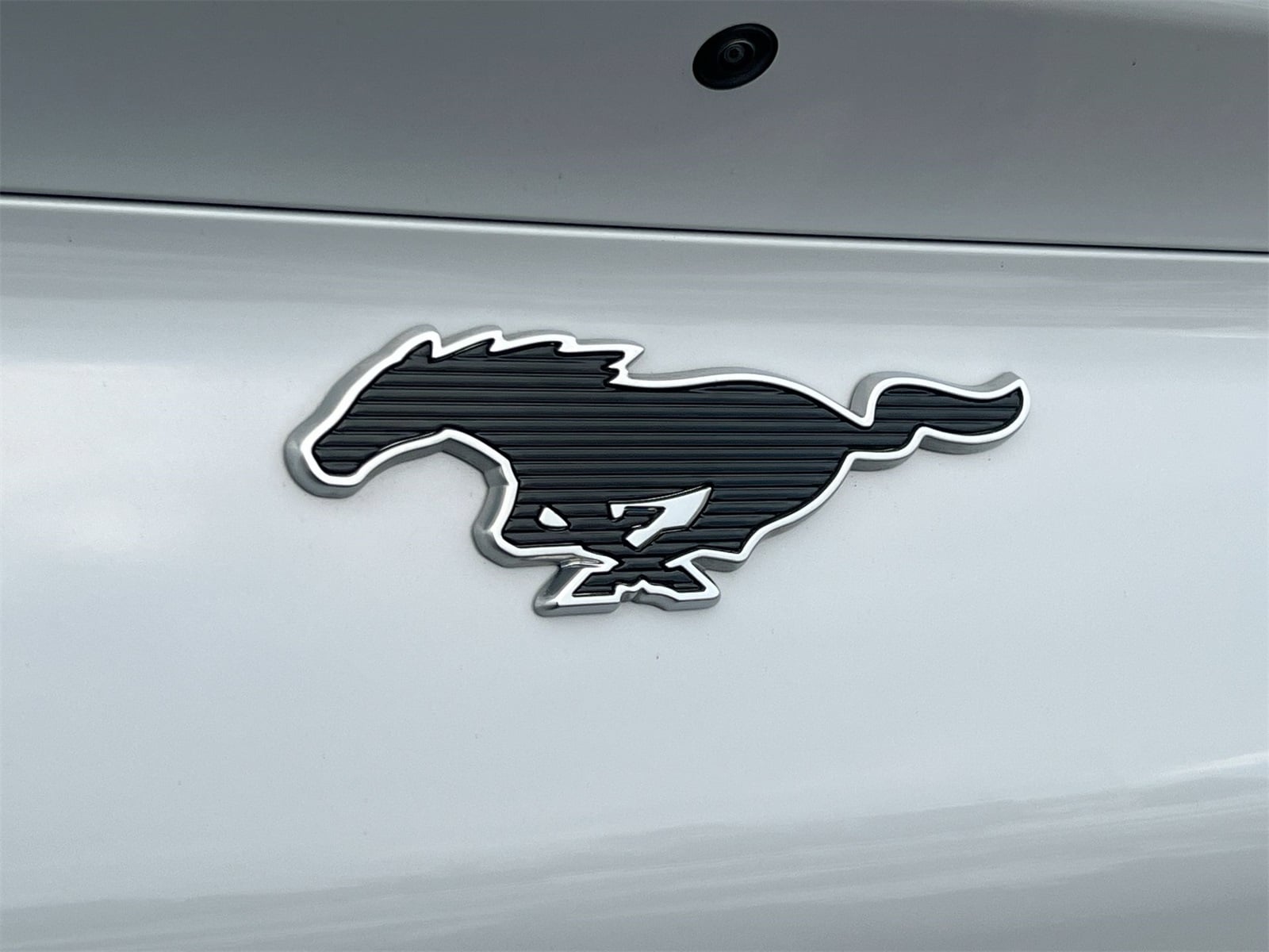 Thumbnail: 2021 Ford Mustang Mach-E - 12