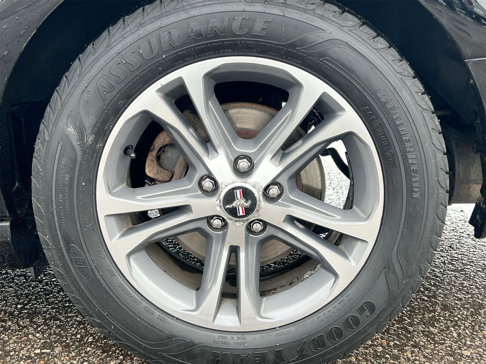 Thumbnail: 2014 Ford Mustang - 14