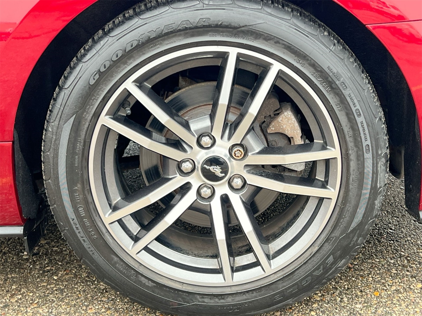 Thumbnail: 2017 Ford Mustang - 14