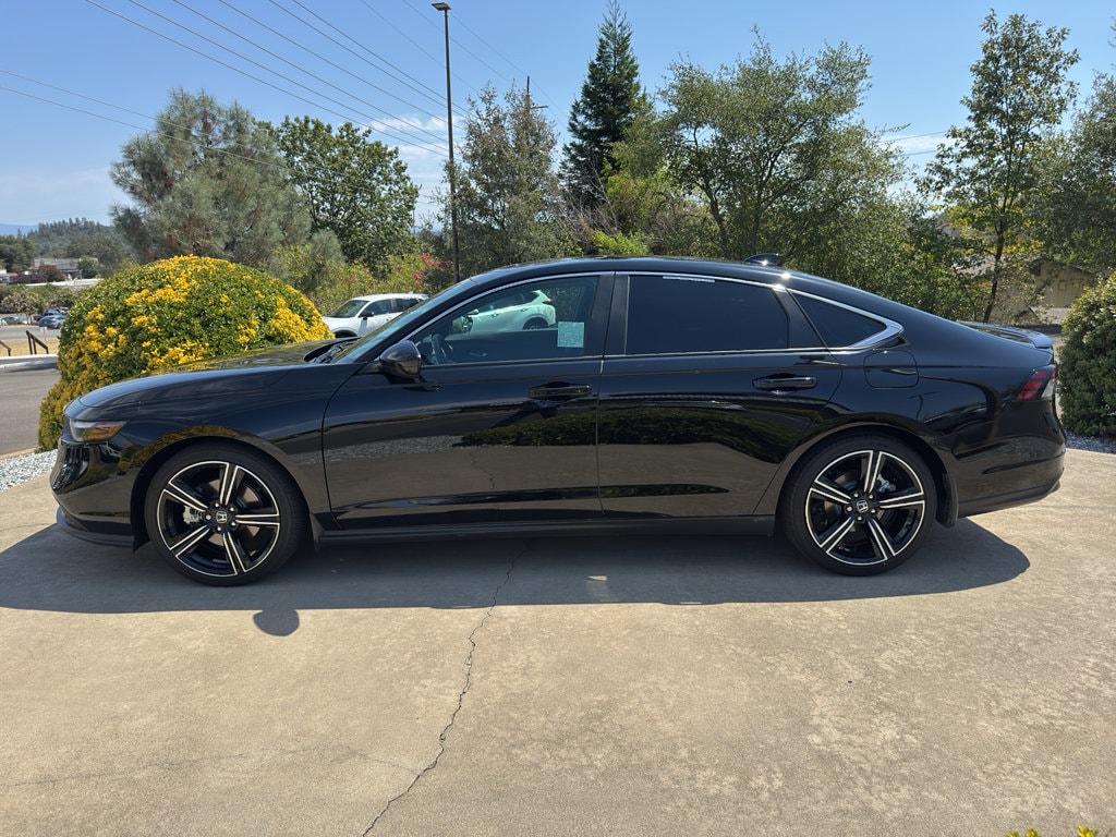 2025 Honda Accord Hybrid Sport - Photo 8