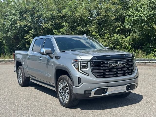 2025 GMC Sierra 1500 Denali Ultimate - Photo 9