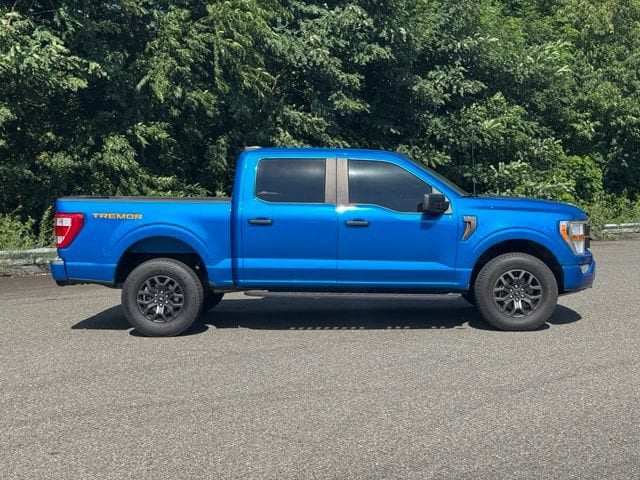 2021 Ford F-150 Tremor - Photo 7