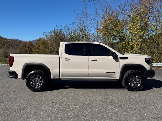 2026 GMC Sierra 1500 AT4X - Photo 8