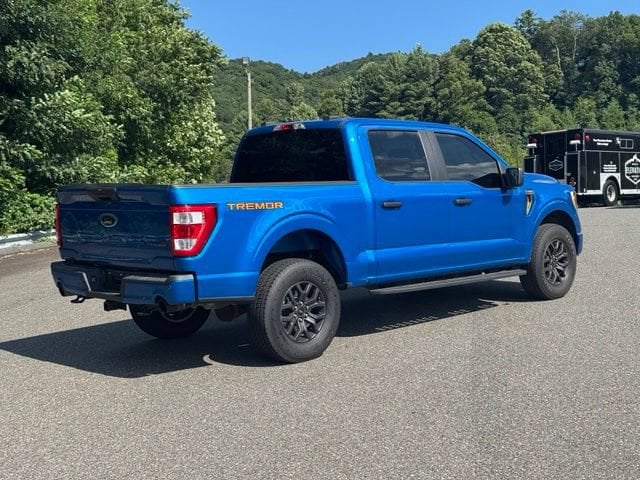 2021 Ford F-150 Tremor - Photo 6