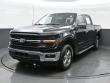 Used 2025 Ford F-150 XLT Truck