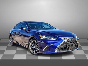 2019 LEXUS ES 350 350 Sedan