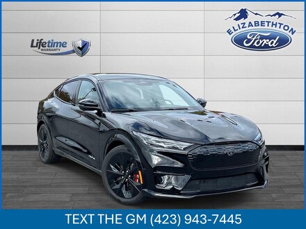 2025 Ford Mustang Mach-E GT Sport Utility