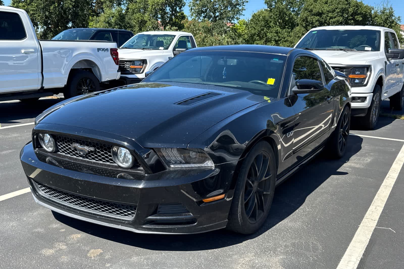 2014 Ford Mustang GT's photo