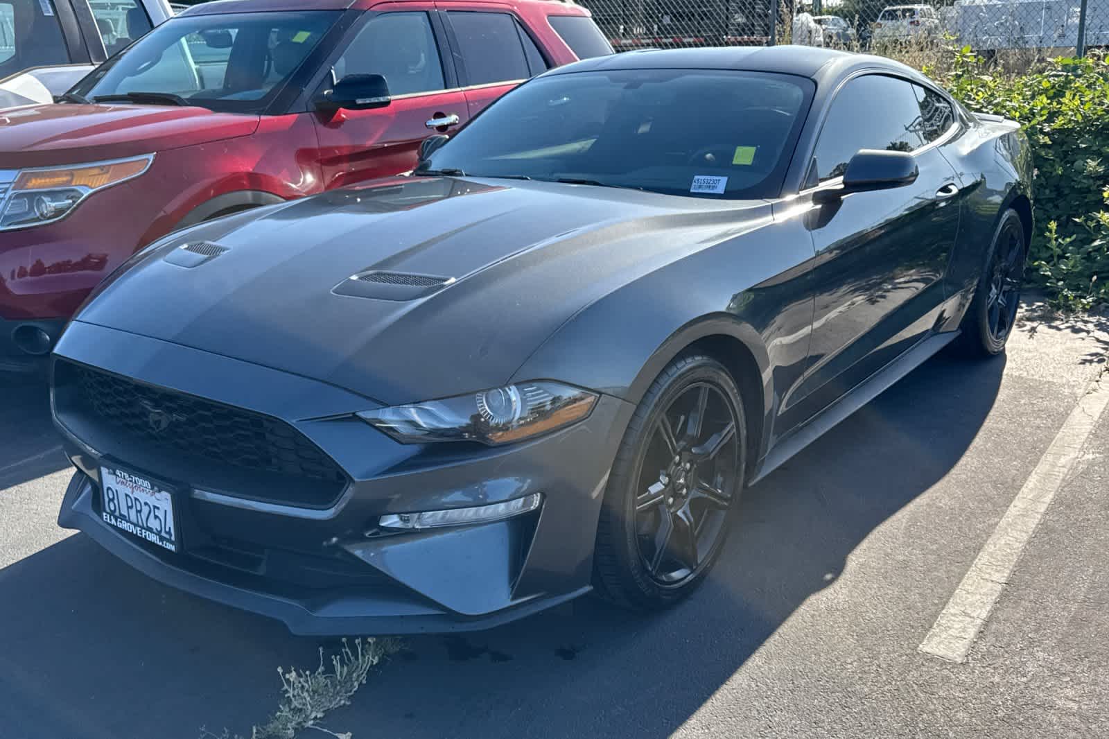 2019 Ford Mustang  -
                  Elk Grove, CA